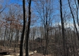 Ridgeview Cabin at Titus Woods property photo