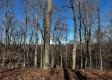 Ridgeview Cabin at Titus Woods property photo