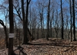 Ridgeview Cabin at Titus Woods property photo