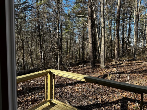 Sycamore Cabin at Titus Woods property photo