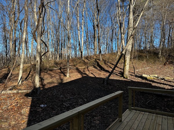 Sycamore Cabin at Titus Woods property photo