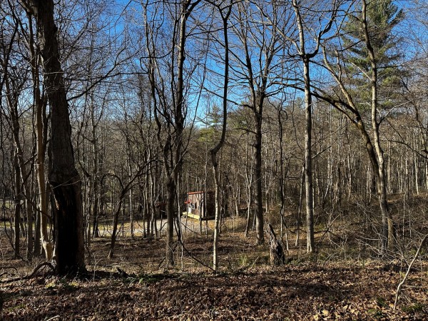 Sycamore Cabin at Titus Woods property photo