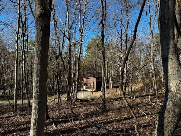 Sycamore Cabin at Titus Woods property photo