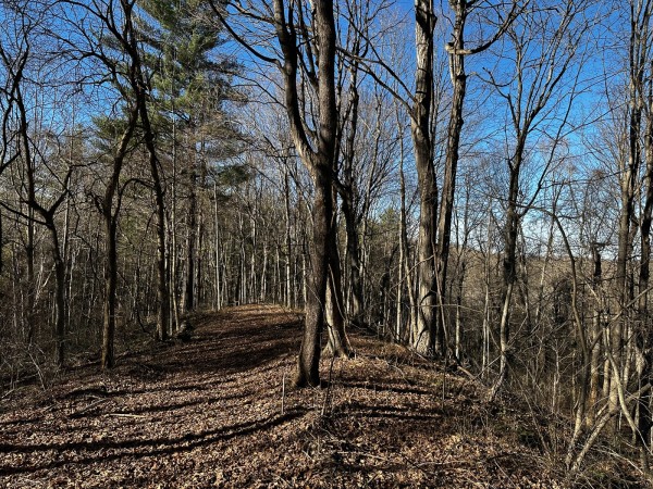 Sycamore Cabin at Titus Woods property photo