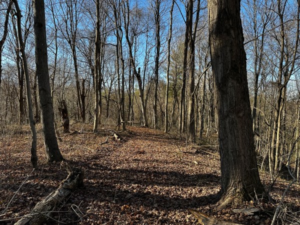 Sycamore Cabin at Titus Woods property photo