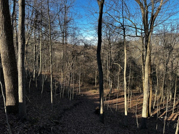 Sycamore Cabin at Titus Woods property photo