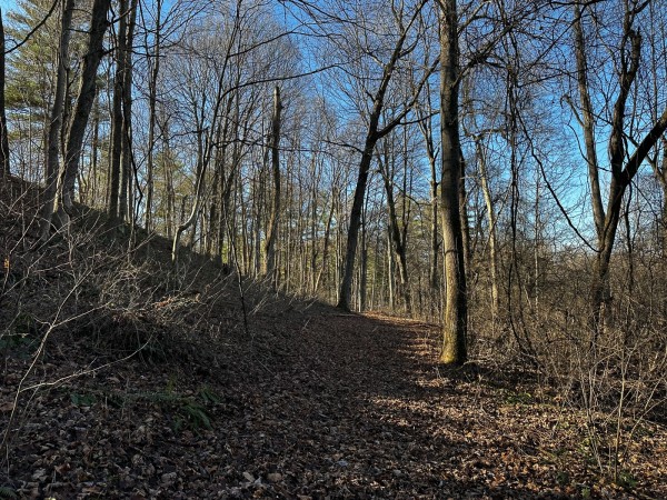 Sycamore Cabin at Titus Woods property photo