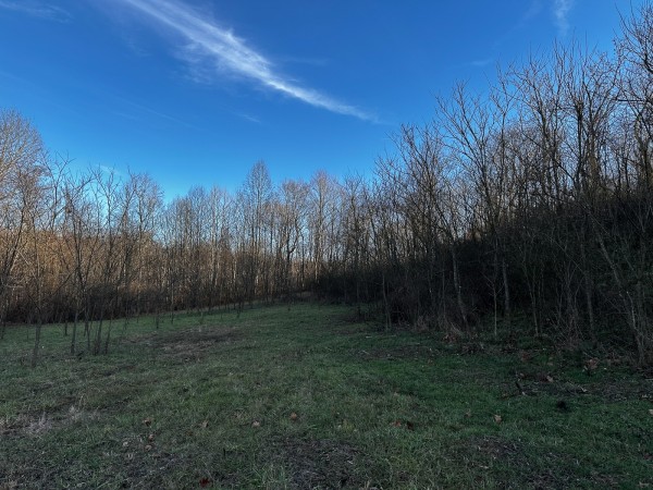 Tract 7 - The Woods at Dutch Ridge property photo