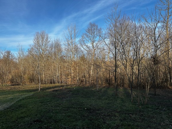 Tract 7 - The Woods at Dutch Ridge property photo