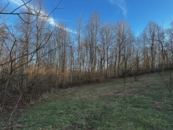 Tract 7 - The Woods at Dutch Ridge property photo