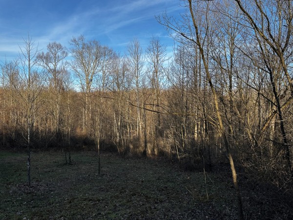 Tract 7 - The Woods at Dutch Ridge property photo
