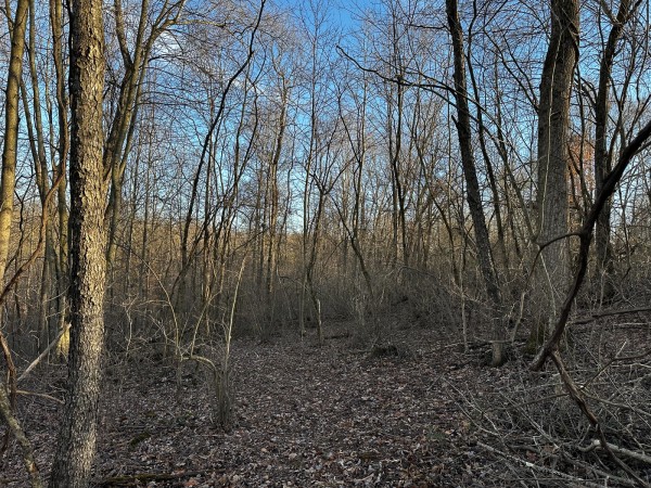 Tract 7 - The Woods at Dutch Ridge property photo