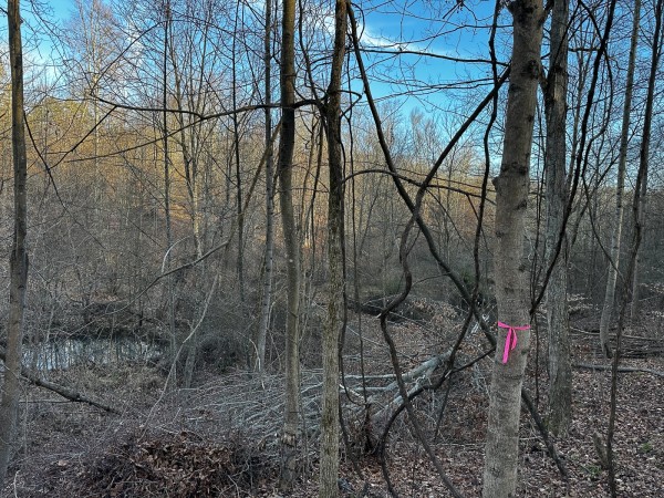 Tract 7 - The Woods at Dutch Ridge property photo