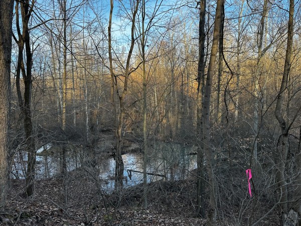 Tract 7 - The Woods at Dutch Ridge property photo