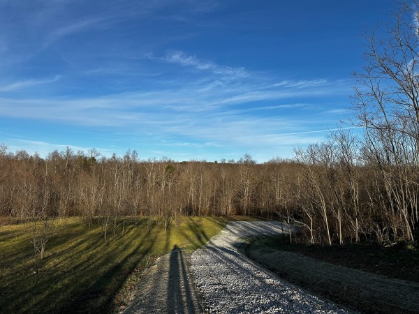 More of Tract 7 - The Woods at Dutch Ridge