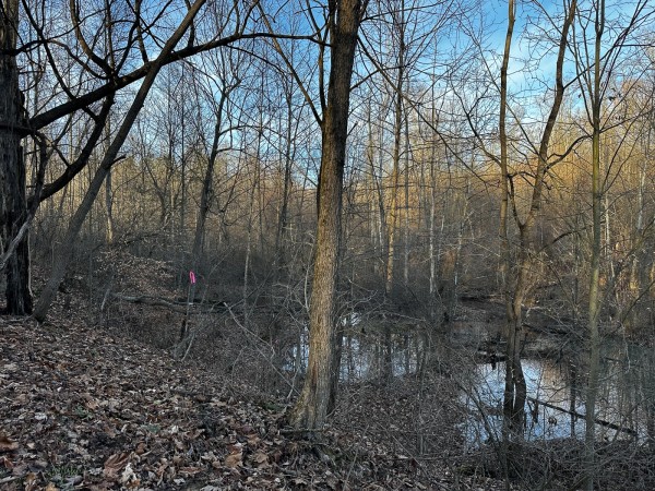 Tract 7 - The Woods at Dutch Ridge property photo