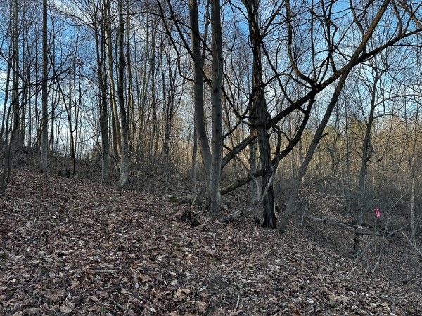 Tract 7 - The Woods at Dutch Ridge property photo