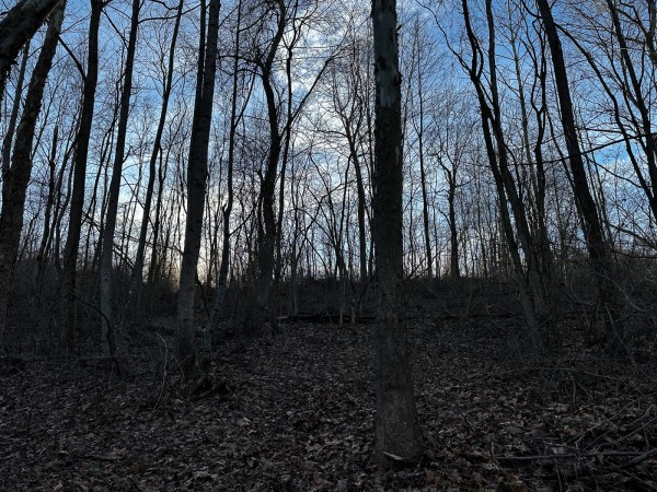 Tract 7 - The Woods at Dutch Ridge property photo