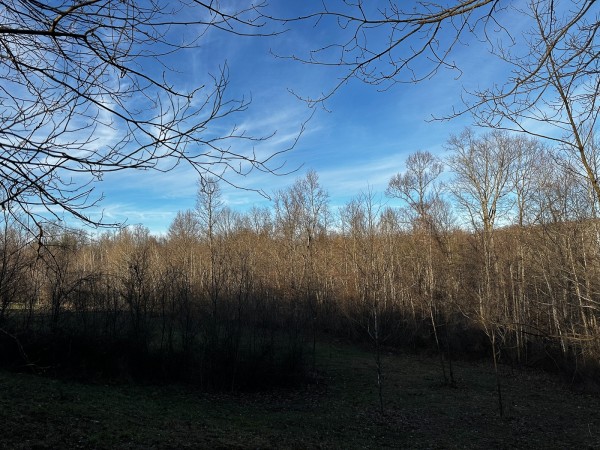 Tract 7 - The Woods at Dutch Ridge property photo