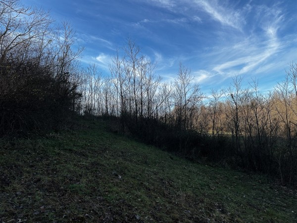 Tract 7 - The Woods at Dutch Ridge property photo