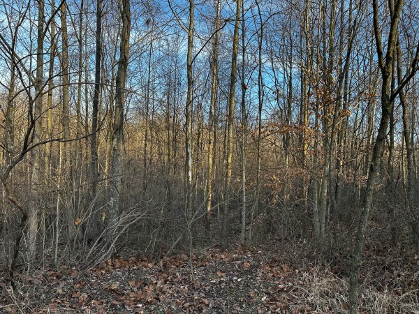 Tract 7 - The Woods at Dutch Ridge property photo