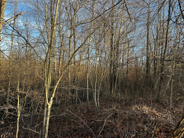 Tract 7 - The Woods at Dutch Ridge property photo