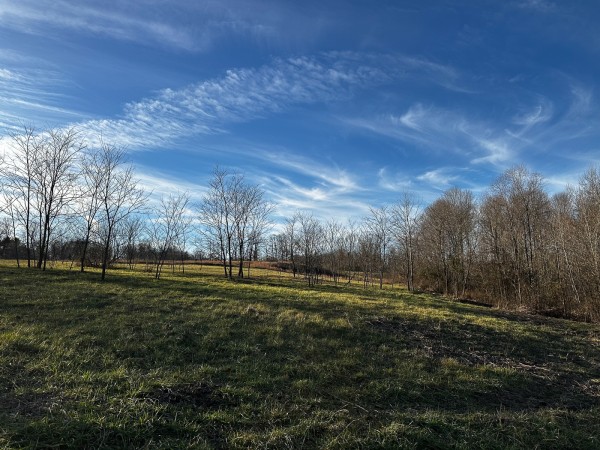 Tract 7 - The Woods at Dutch Ridge property photo