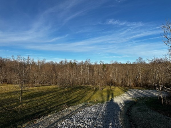 More of Tract 7 - The Woods at Dutch Ridge