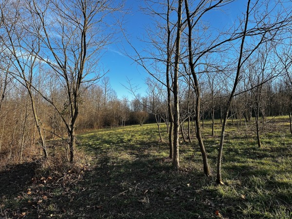 Tract 7 - The Woods at Dutch Ridge property photo