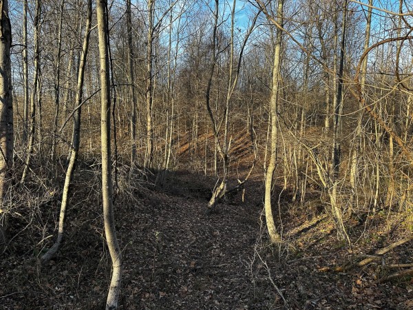 Tract 7 - The Woods at Dutch Ridge property photo