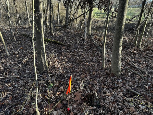 Tract 7 - The Woods at Dutch Ridge property photo