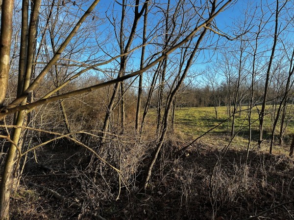 Tract 7 - The Woods at Dutch Ridge property photo