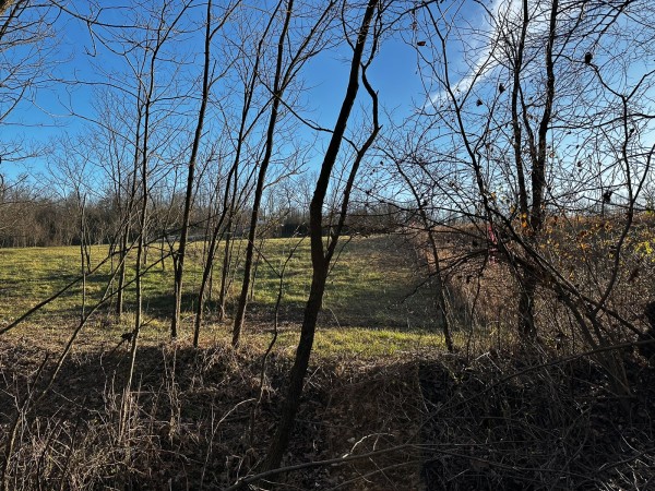 Tract 7 - The Woods at Dutch Ridge property photo
