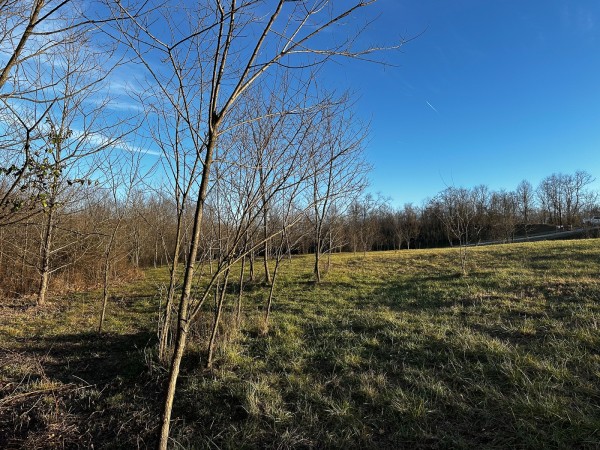 Tract 7 - The Woods at Dutch Ridge property photo