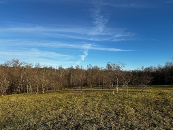 Tract 7 - The Woods at Dutch Ridge property photo