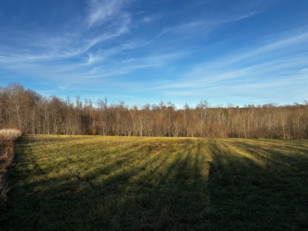 Tract 7 - The Woods at Dutch Ridge property photo