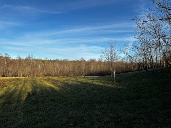 Tract 7 - The Woods at Dutch Ridge property photo