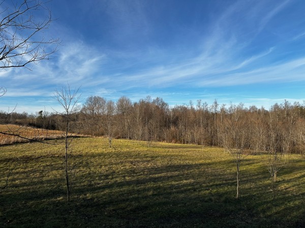 More of Tract 7 - The Woods at Dutch Ridge