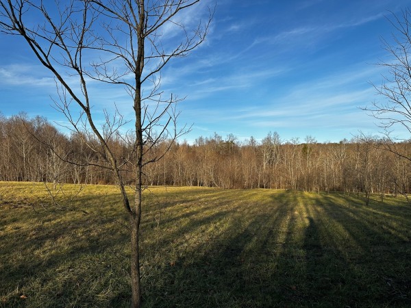 Tract 7 - The Woods at Dutch Ridge property photo