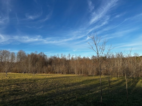 Tract 7 - The Woods at Dutch Ridge property photo