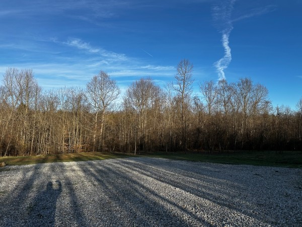 More of Tract 7 - The Woods at Dutch Ridge