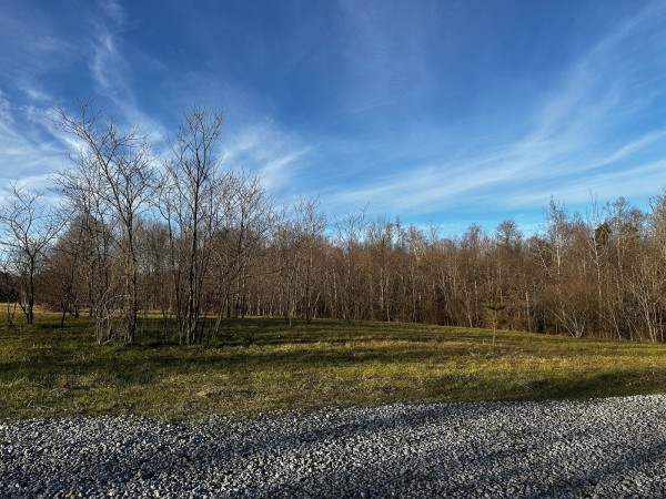 Tract 7 - The Woods at Dutch Ridge property photo