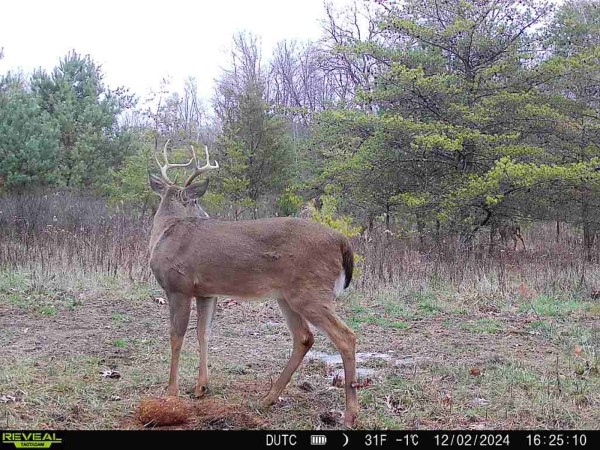 Tract 7 - The Woods at Dutch Ridge property photo