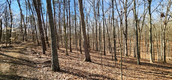 Big Timber Ridge - Phase II Tract 6 property photo