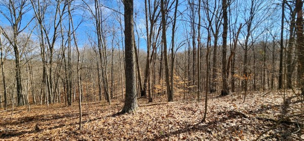 Big Timber Ridge - Phase II Tract 6 property photo