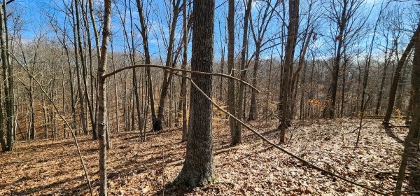 Big Timber Ridge - Phase II Tract 6 property photo