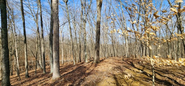 Big Timber Ridge - Phase II Tract 6 property photo