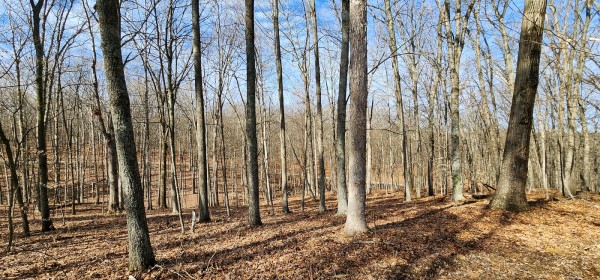 Big Timber Ridge - Phase II Tract 6 property photo