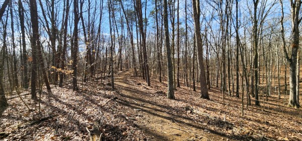 Big Timber Ridge - Phase II Tract 6 property photo