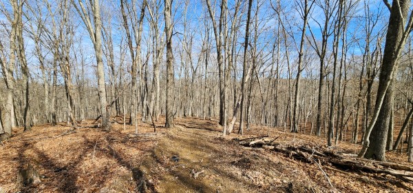 Big Timber Ridge - Phase II Tract 6 property photo